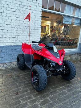 Neufahrzeug Quad CFMOTO CFORCE 110 Kinderquad Benziner EFI