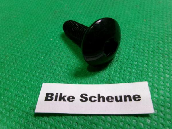 Schraube M6x20 schwarz Torx Flachkopf