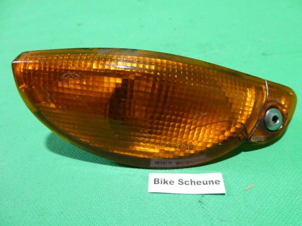 Blinker hinten links