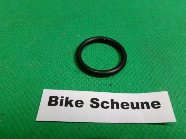 O-Ring 19x2,65 Ritzelwelle SRK125S