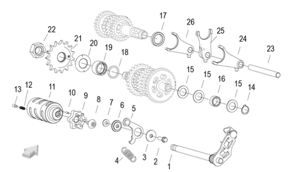 Ritzelsicherungsblech QJMOTOR SRK125S 219313090000