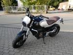 Neufahrzeug Motorrad QJ SRV 550 ABS Schwarz / Silber